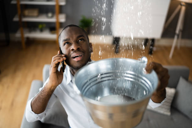 Best Flood restoration services  in Greenfield, IL