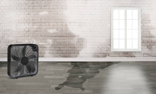 Best Fire Damage Restoration  in Greenfield, IL