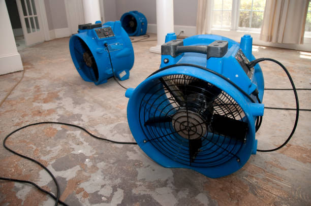 Best Flooded house restoration  in Greenfield, IL