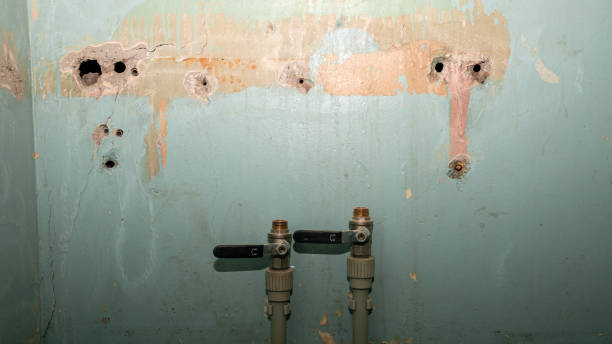 Best Water damage restoration process  in Greenfield, IL