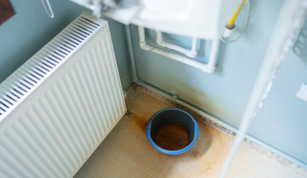Best Water damage restoration near me  in Greenfield, IL