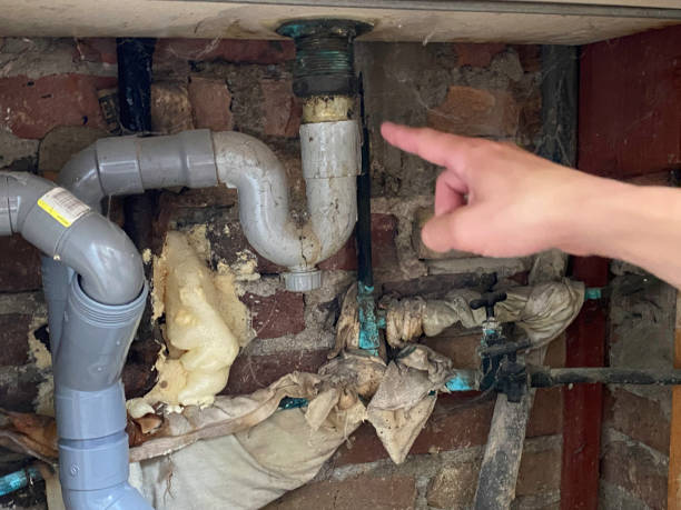 Best Flood damage cleanup  in Greenfield, IL