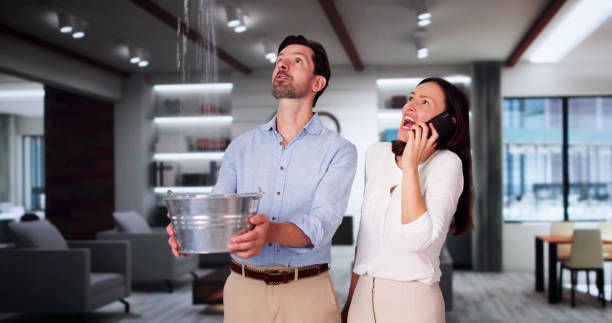 Sewage cleanup and water damage restoration in Greenfield, IL