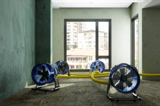 Best Flood restoration services  in Greenfield, IL